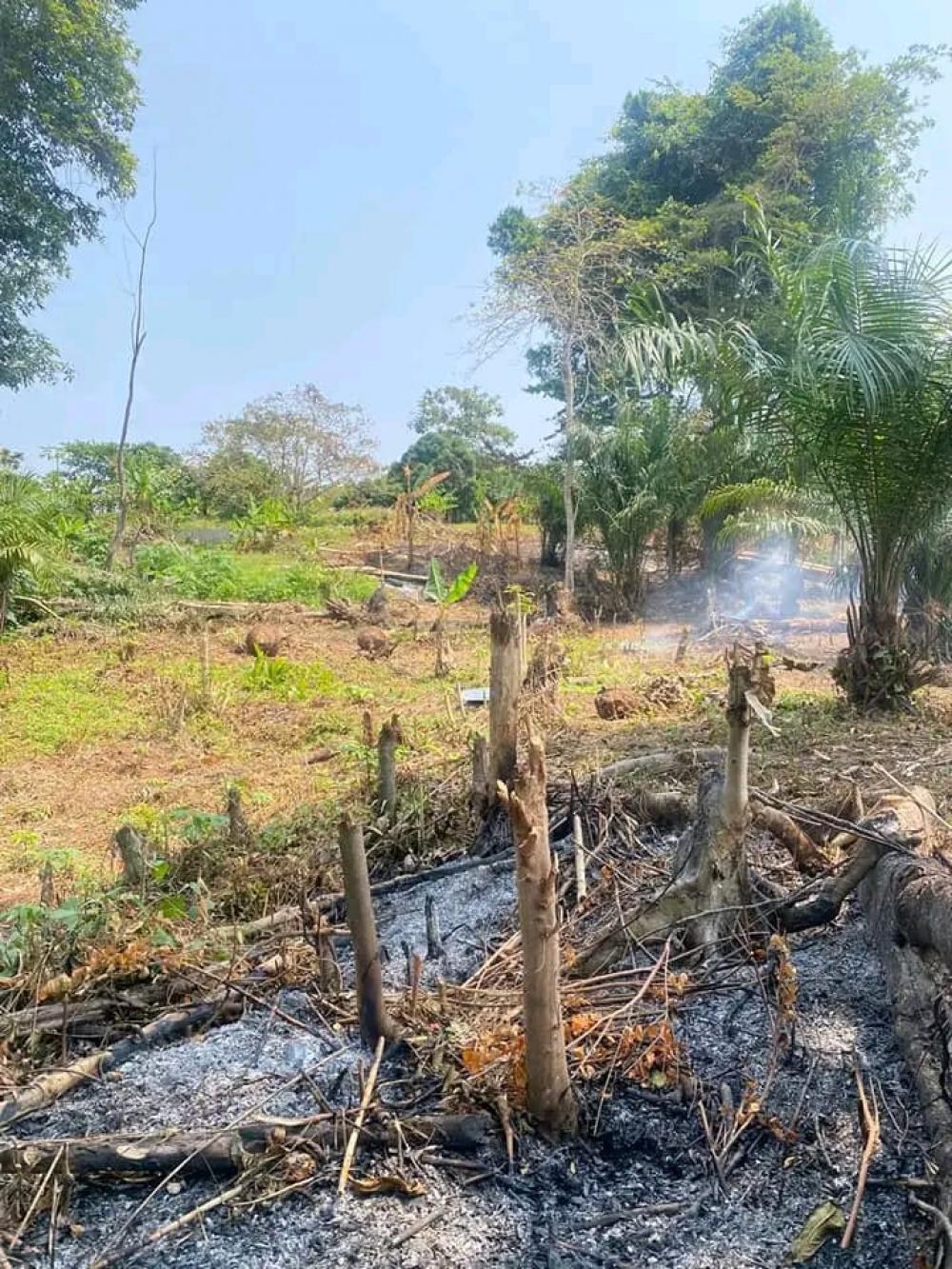 Terrain  à vendre à Akanda, 1-AutrePhoto Annonce Gabonhome 