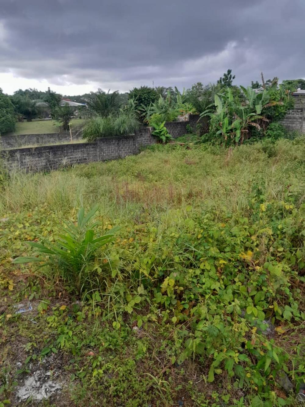 Terrain  à vendre à Akanda, Angondjé. Prix: 35 000 000 FcfaPhoto Annonce Gabonhome 