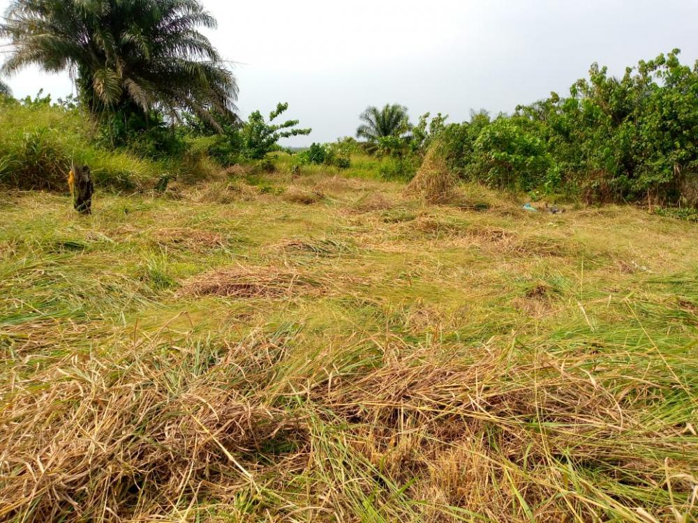 Terrain  à vendre à Akanda, Angondjé. Prix: 5 500 000 FcfaPhoto Annonce Gabonhome 0