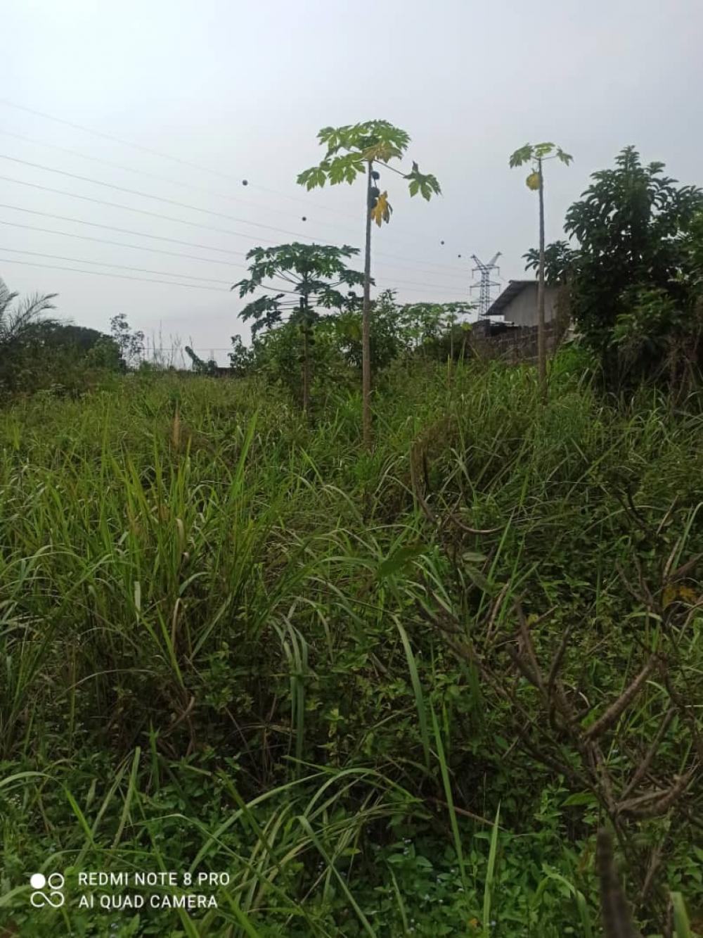 Terrain  à vendre à Akanda, Angondjé. Prix: 10 000 000 FcfaPhoto Annonce Gabonhome 