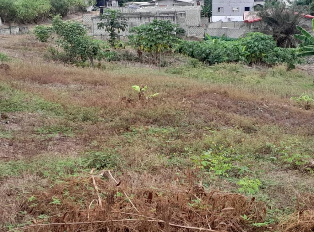 Terrain  à vendre à Owendo, SNIPhoto Annonce Gabonhome 