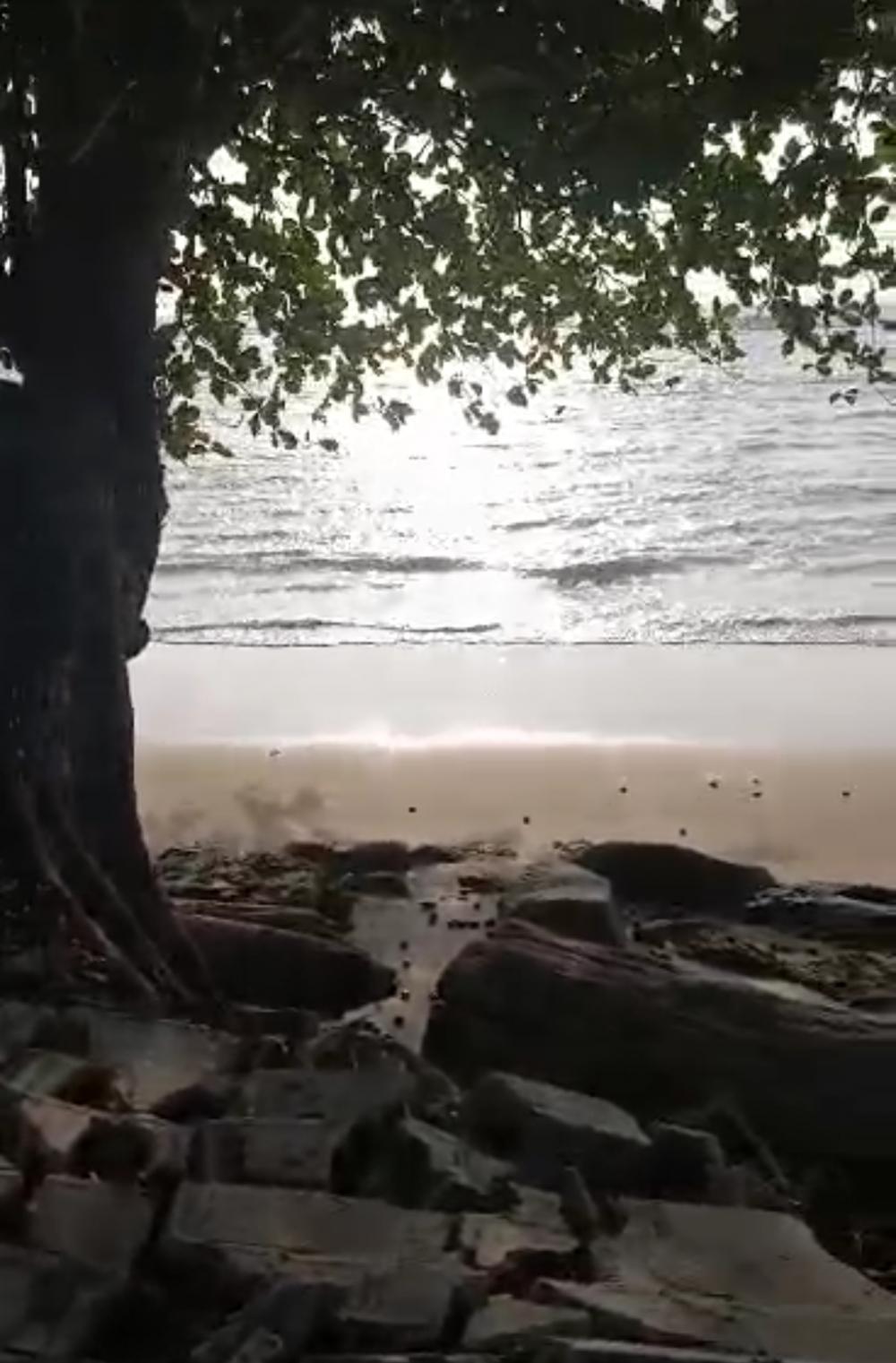 Terrain  à vendre à Akanda, CapPhoto Annonce Gabonhome 