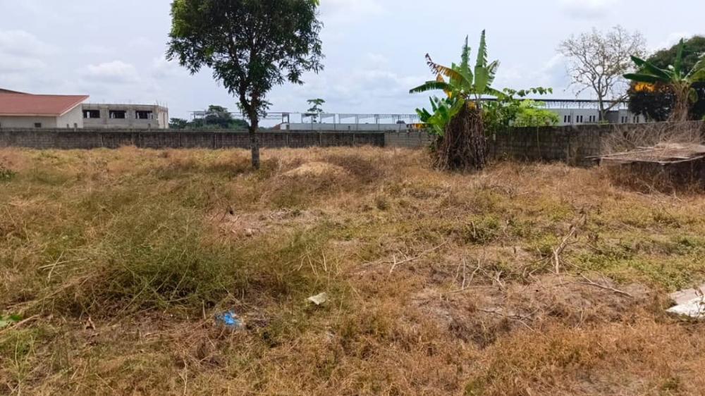 Terrain  à vendre à Akanda, AngondjéPhoto Annonce Gabonhome 0