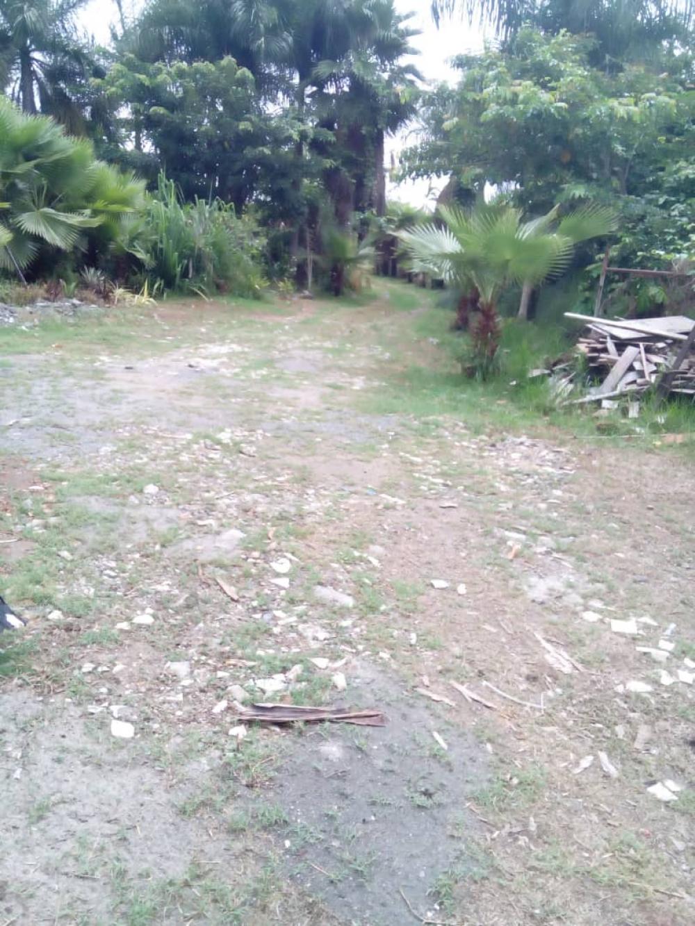 Terrain  à vendre à Akanda, AngondjéPhoto Annonce Gabonhome 0