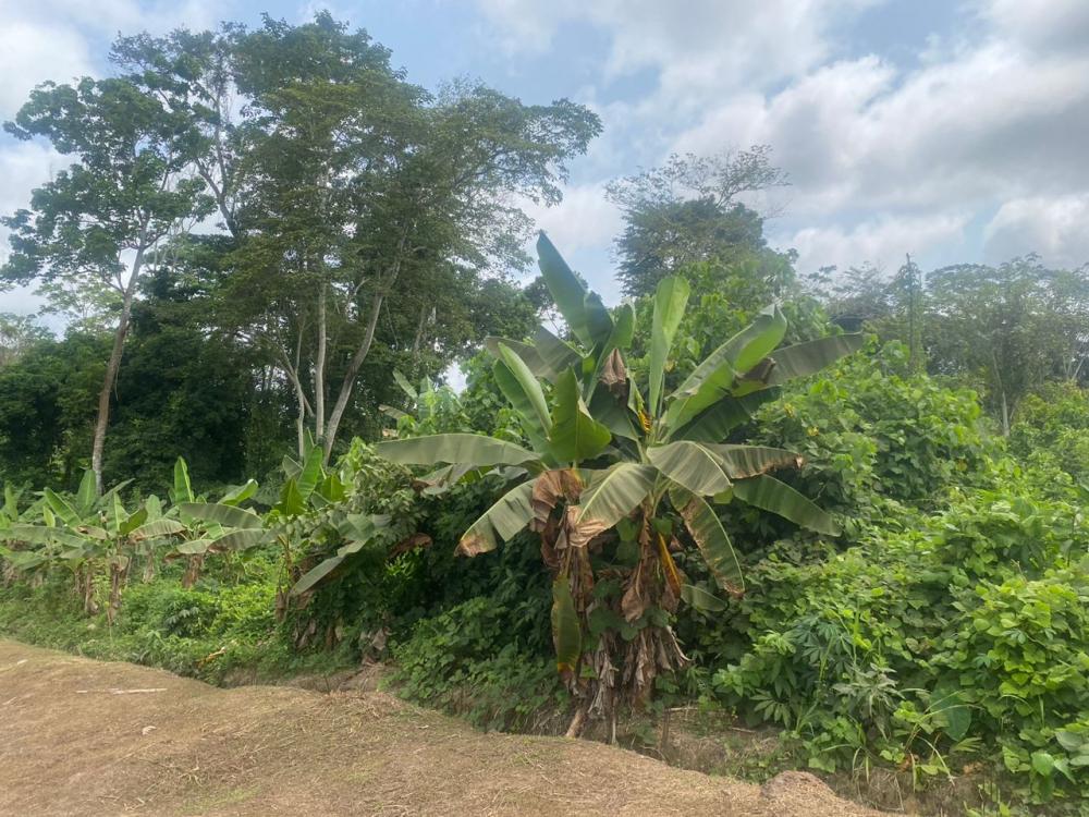 Terrain  à vendre à Ntoum, 1-AutrePhoto Annonce Gabonhome 0