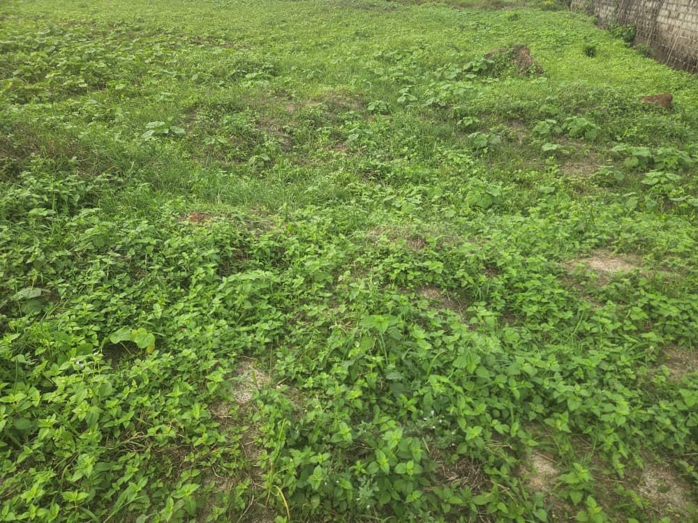 Terrain  à vendre à Libreville, AngondjéPhoto Annonce Gabonhome 0