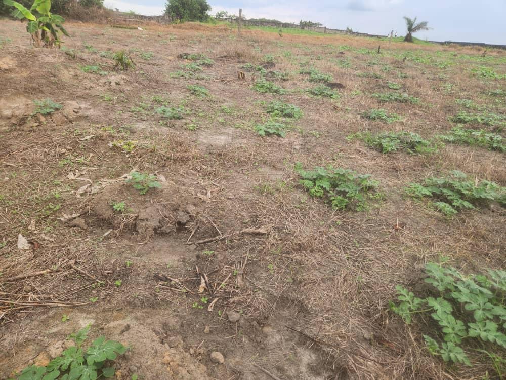 Terrain  à vendre à Akanda, AngondjéPhoto Annonce Gabonhome 0