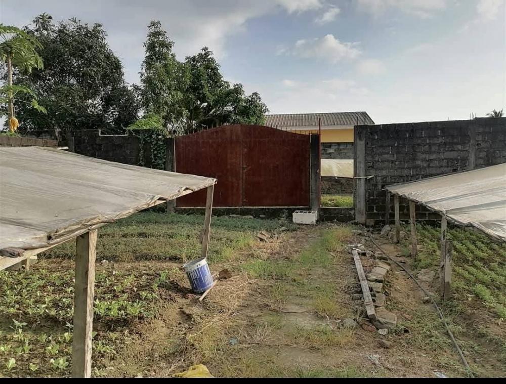 Terrain  à vendre à Libreville, Bas de gué-guéPhoto Annonce Gabonhome 0