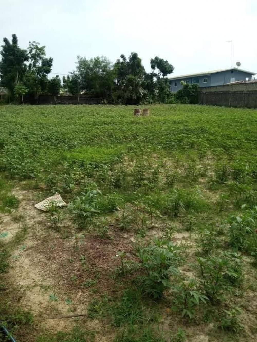Terrain  à vendre à Akanda, AngondjéPhoto Annonce Gabonhome 0