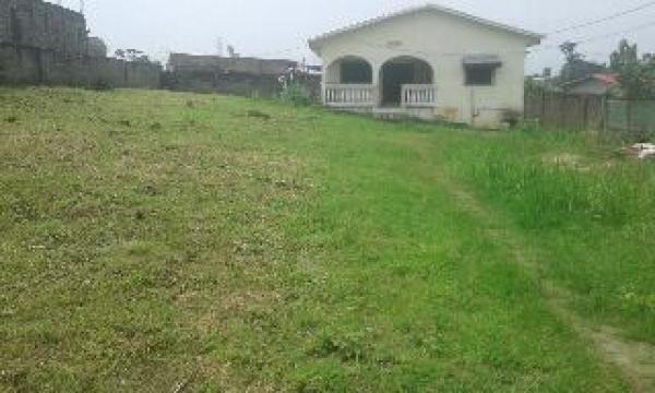 villa de 3chambres 3dwc int terrasse avec 1500m2 de superficie accès voiture à angondje château 50millions à débattre 
