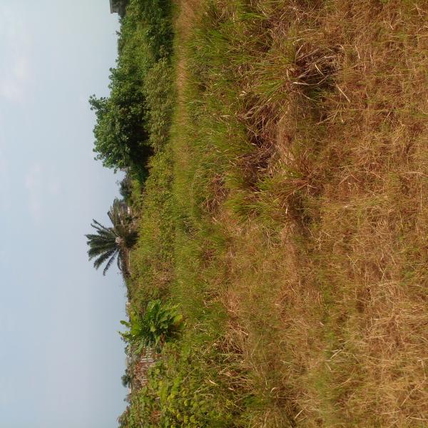 Photo Annonce Gabonhome 0