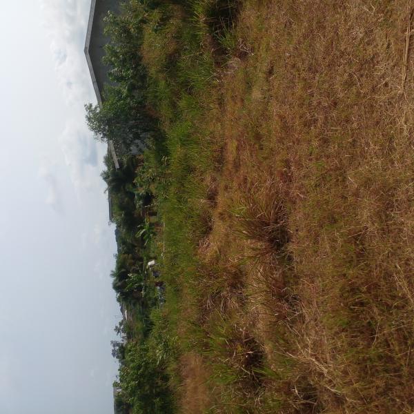 Photo Annonce Gabonhome 