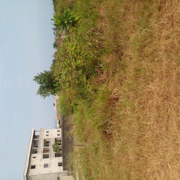 Photo Annonce Gabonhome 
