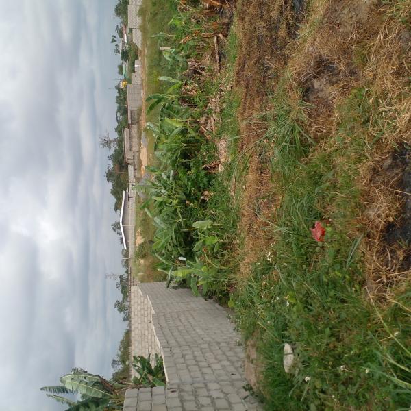 Photo Annonce Gabonhome 