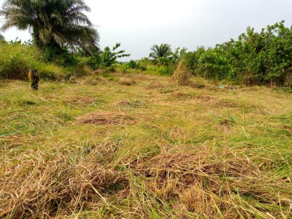 Photo Annonce Gabonhome 0