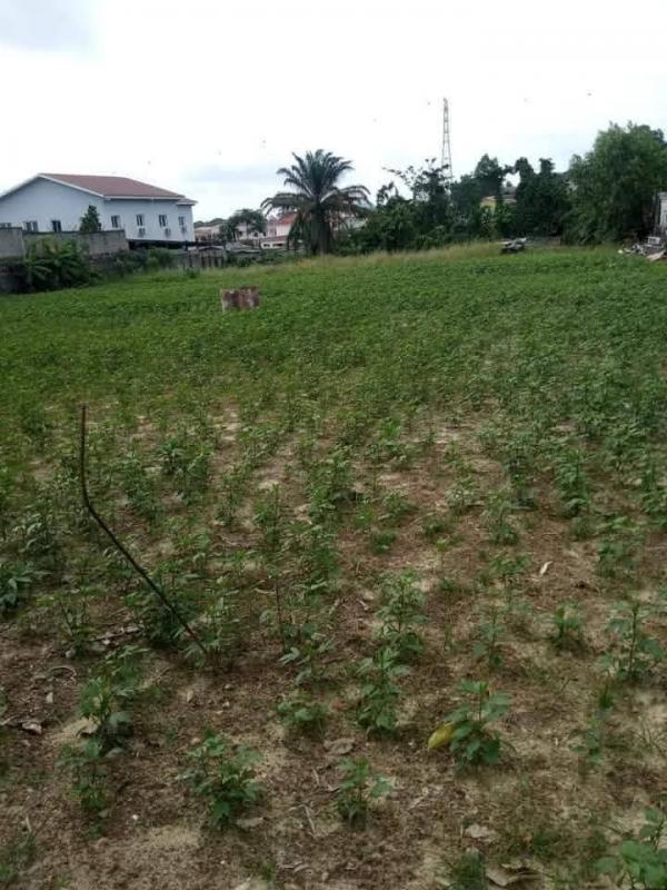 Photo Annonce Gabonhome 